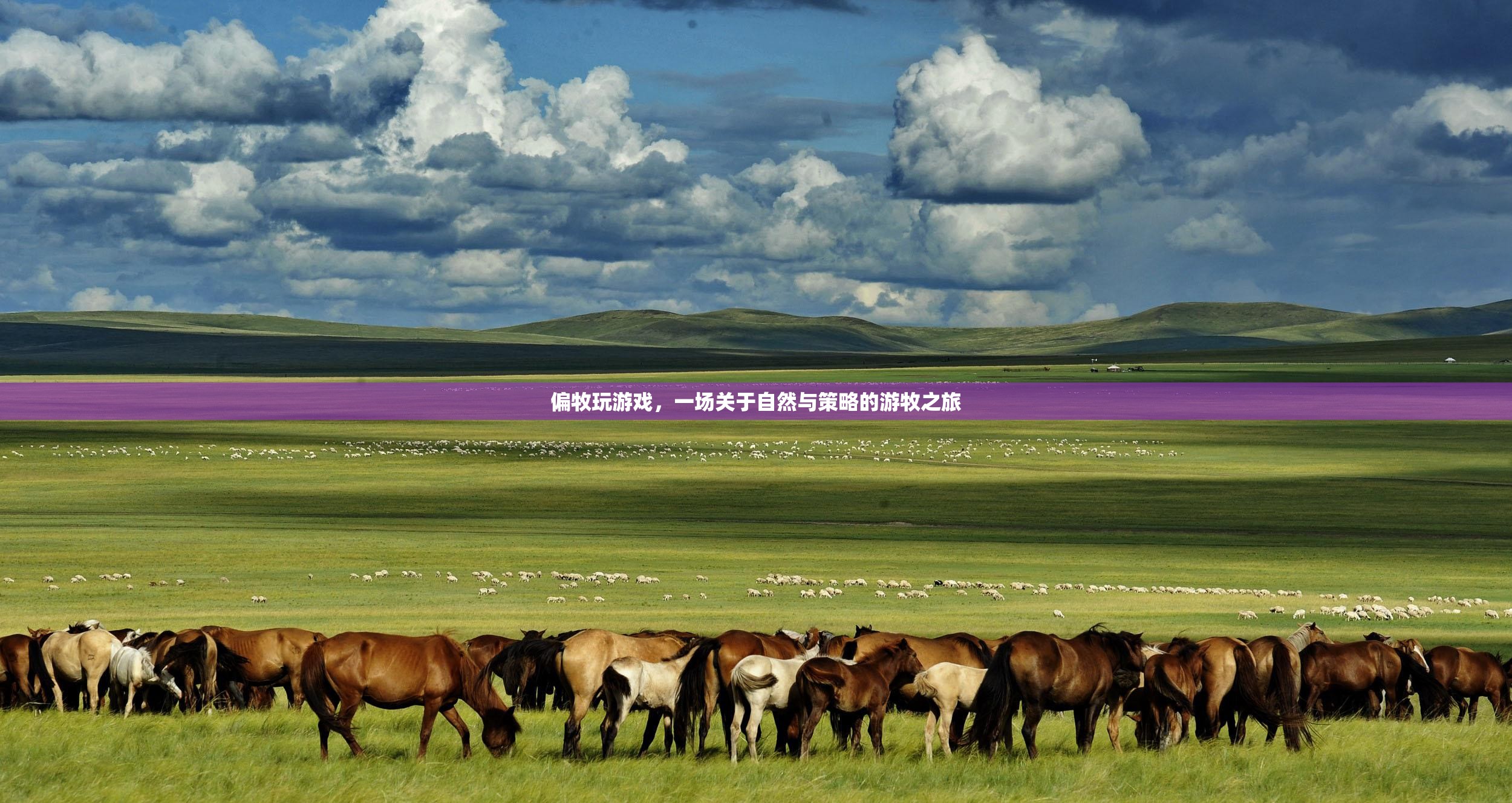 一場(chǎng)自然與策略的游牧之旅，偏牧玩游戲
