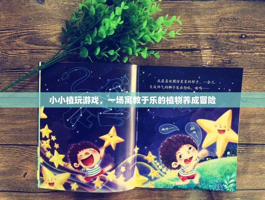 寓教于樂(lè)，小小植的養(yǎng)成冒險(xiǎn)之旅