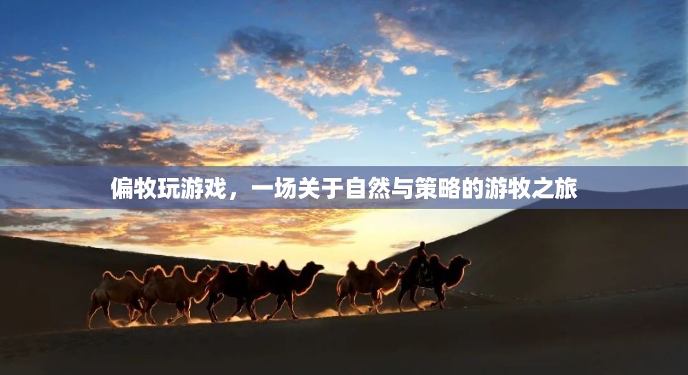 一場(chǎng)自然與策略的游牧之旅，偏牧玩游戲