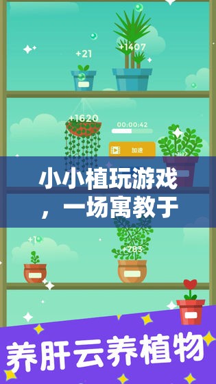 寓教于樂(lè)，小小植的養(yǎng)成冒險(xiǎn)之旅