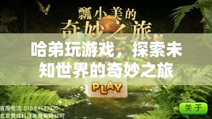 哈弟的奇妙游戲之旅，探索未知世界