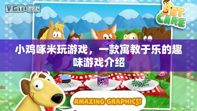 小雞啄米，寓教于樂的游戲新體驗