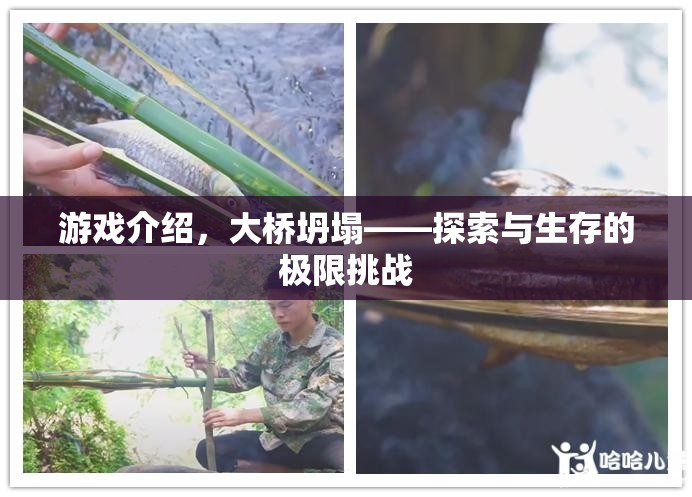 大橋坍塌，探索與生存的極限挑戰(zhàn)