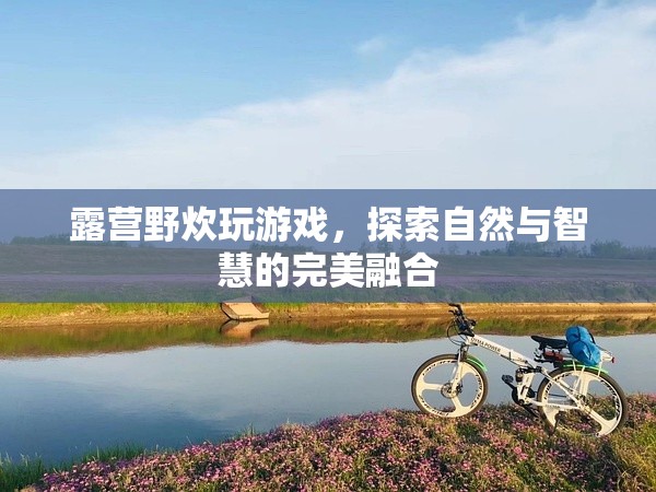 自然與智慧的完美融合，露營野炊中的游戲探索