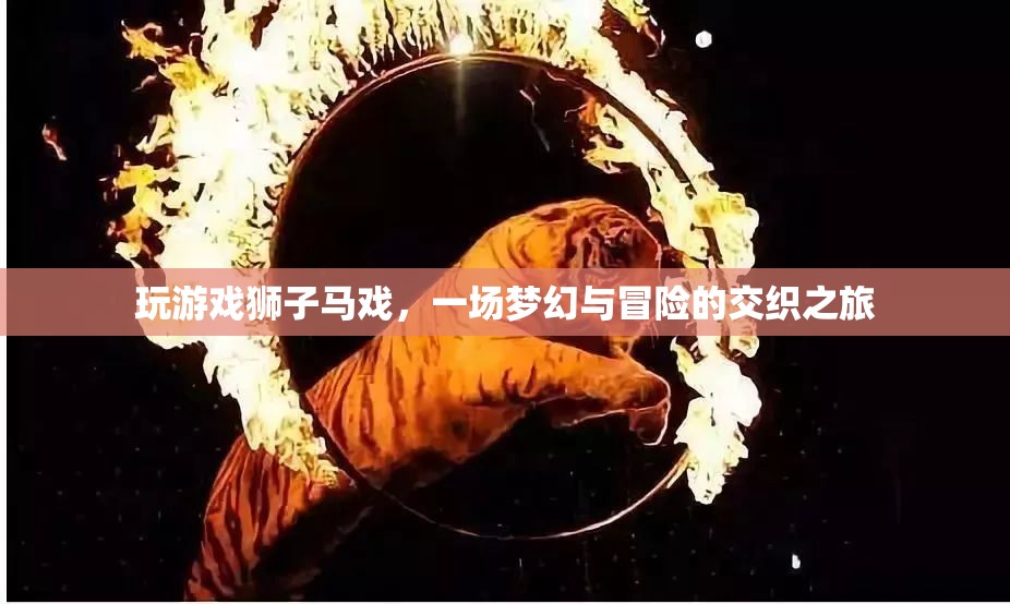 夢(mèng)幻冒險(xiǎn)之旅，獅子馬戲團(tuán)游戲