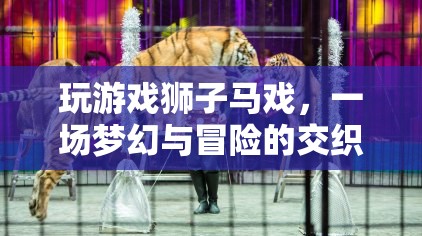夢(mèng)幻冒險(xiǎn)之旅，獅子馬戲團(tuán)游戲