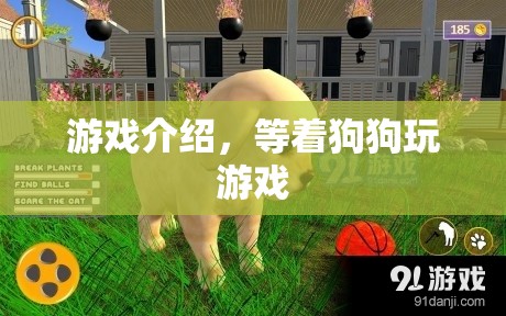 等著狗狗游戲介紹，與萌寵共度歡樂(lè)時(shí)光