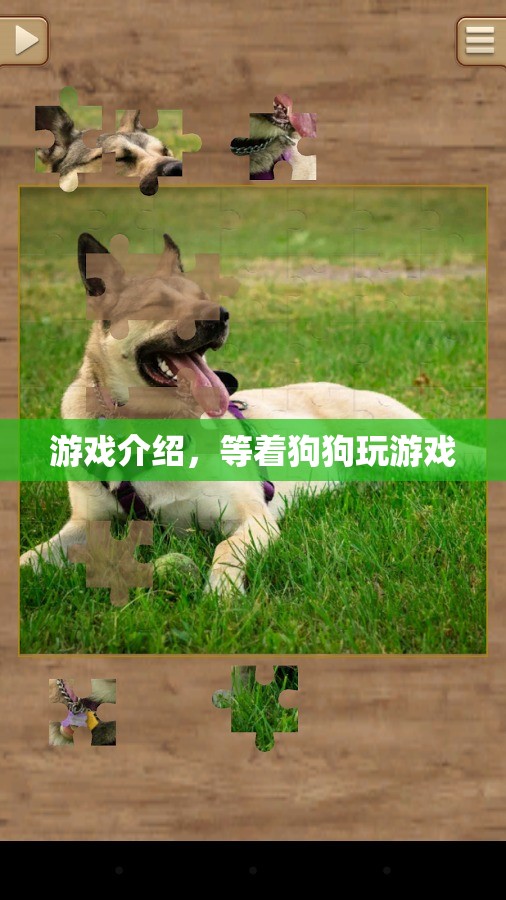 等著狗狗游戲介紹，與萌寵共度歡樂(lè)時(shí)光