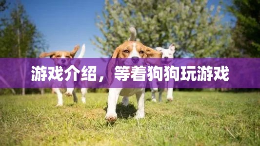 等著狗狗游戲介紹，與萌寵共度歡樂(lè)時(shí)光