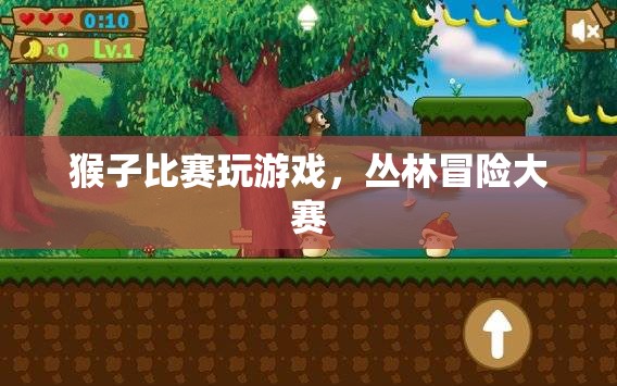 叢林冒險(xiǎn)大賽，猴子們的游戲盛宴