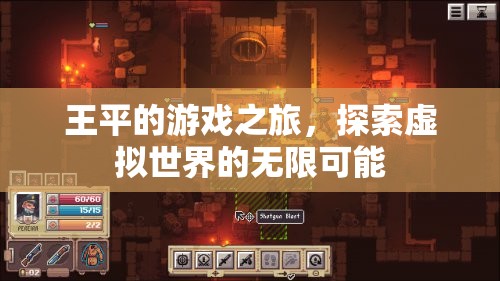 王平的游戲之旅，探索虛擬世界的無限可能