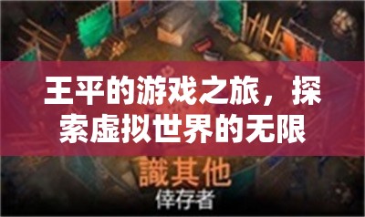 王平的游戲之旅，探索虛擬世界的無限可能