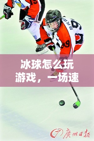 冰球，速度與激情的冰雪盛宴