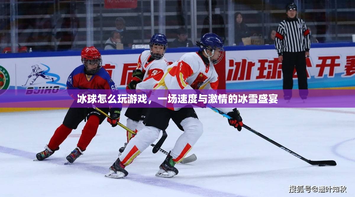 冰球，速度與激情的冰雪盛宴