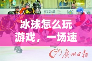 冰球，速度與激情的冰雪盛宴