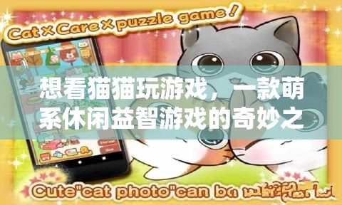 萌寵奇緣，貓咪游戲探險(xiǎn)之旅