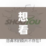 萌寵奇緣，貓咪游戲探險(xiǎn)之旅