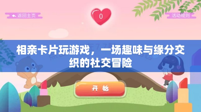相親卡片，一場趣味與緣分的社交冒險(xiǎn)