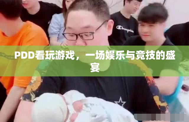 PDD看玩游戲，娛樂(lè)與競(jìng)技的盛宴