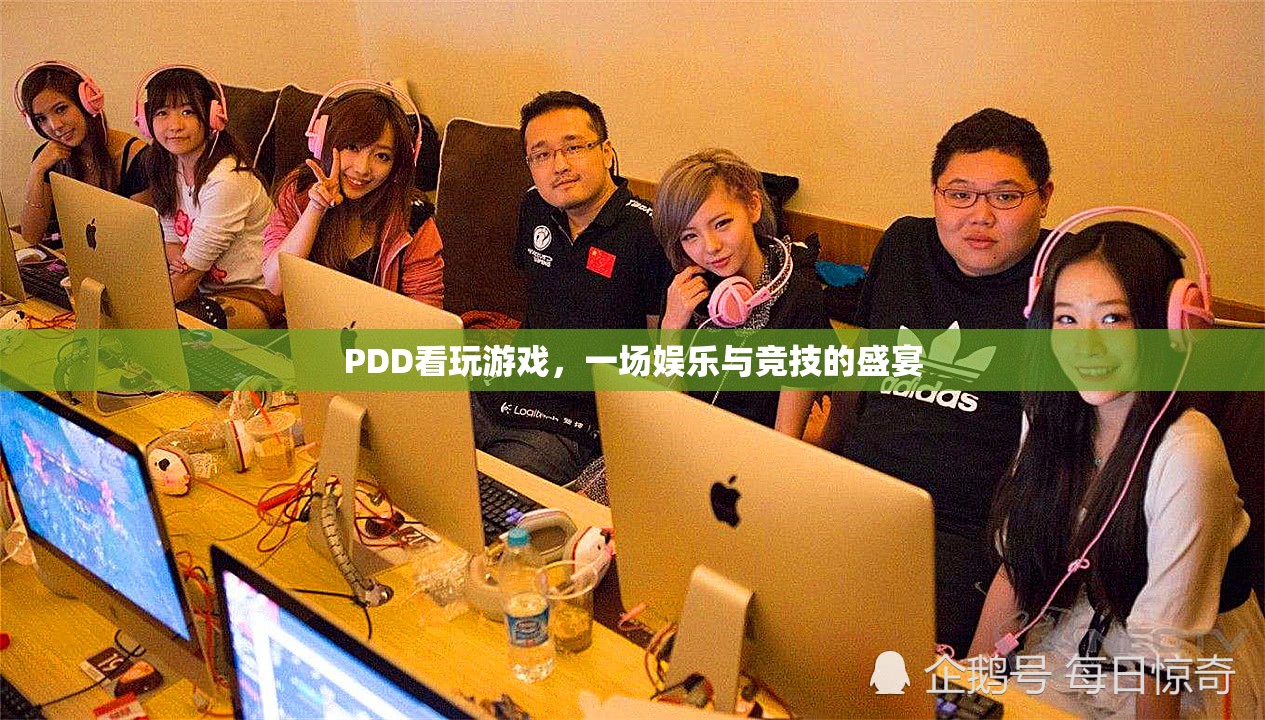 PDD看玩游戲，娛樂(lè)與競(jìng)技的盛宴