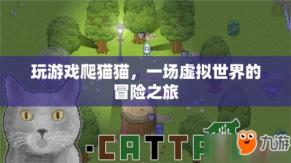 虛擬世界冒險(xiǎn)，爬貓貓游戲之旅