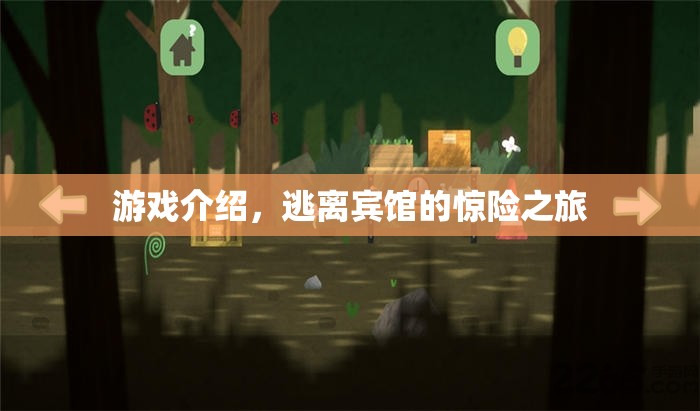 逃離賓館，一場(chǎng)驚險(xiǎn)刺激的解謎之旅