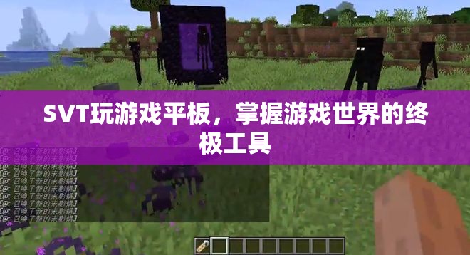 SVT平板，掌握游戲世界的終極工具