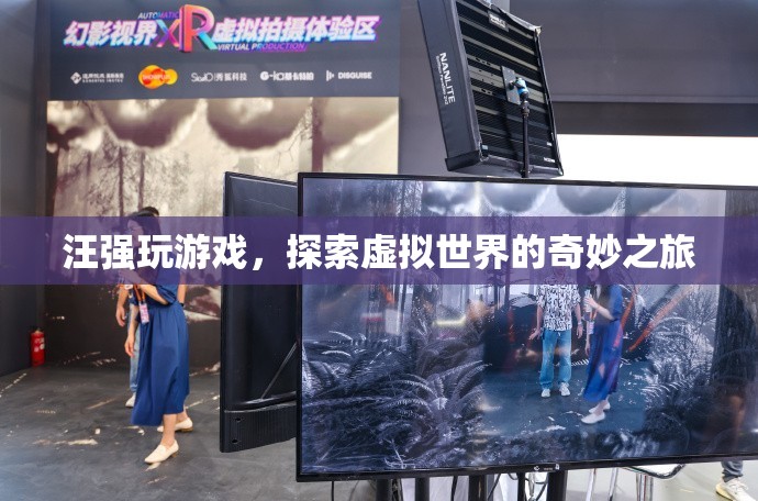 汪強探索虛擬世界的奇妙之旅