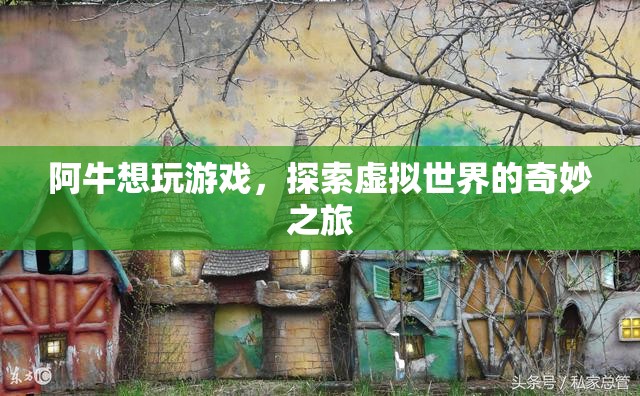 阿牛探索虛擬世界的奇妙之旅