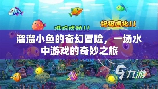 溜溜小魚的奇幻冒險，水中游戲的奇妙之旅