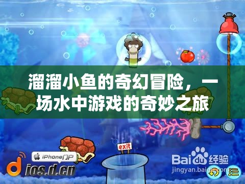 溜溜小魚的奇幻冒險，水中游戲的奇妙之旅