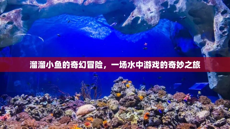 溜溜小魚的奇幻冒險，水中游戲的奇妙之旅