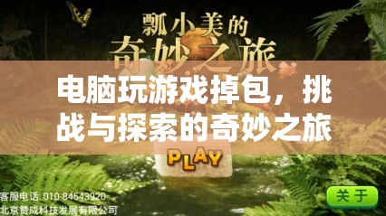 電腦游戲掉包，挑戰(zhàn)與探索的奇妙之旅