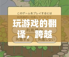 跨越語言障礙的奇妙之旅，探索游戲翻譯的魅力