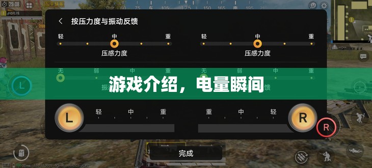 電量瞬間游戲，探索電力奧秘，挑戰(zhàn)電量極限