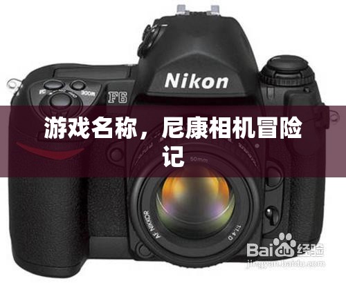 尼康相機冒險記，一場游戲一場夢