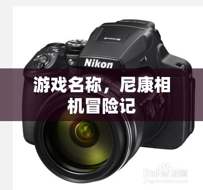 尼康相機冒險記，一場游戲一場夢