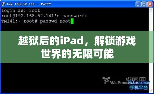 越獄iPad解鎖游戲世界無限可能