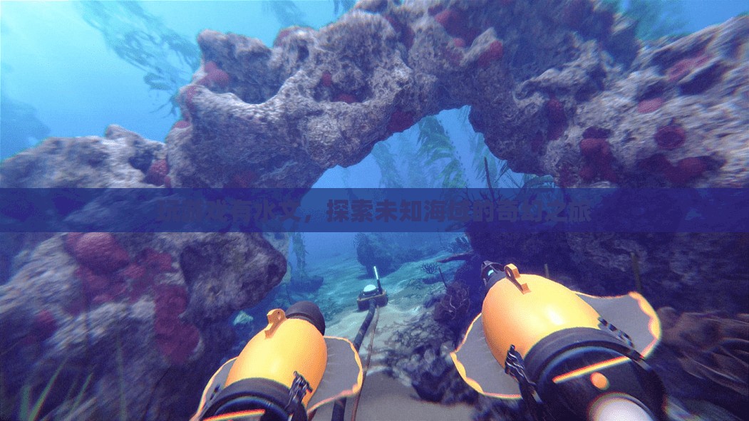 探索未知海域的奇幻之旅，游戲水文揭秘