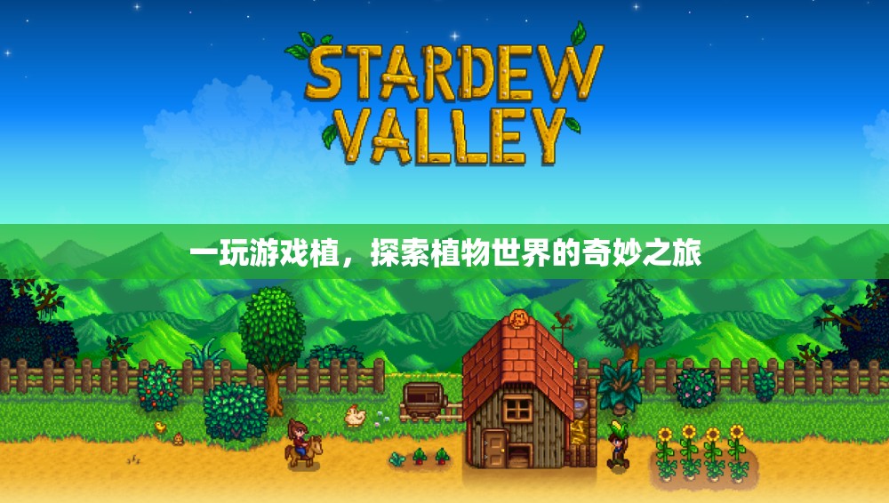 探索植物世界的奇妙之旅，游戲植的奇妙冒險(xiǎn)