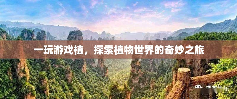 探索植物世界的奇妙之旅，游戲植的奇妙冒險(xiǎn)