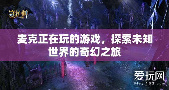 探索未知世界的奇幻之旅，麥克的游戲之旅