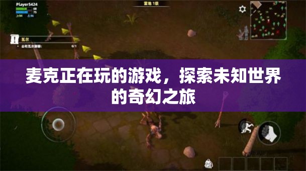 探索未知世界的奇幻之旅，麥克的游戲之旅