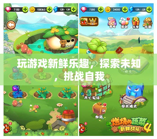 探索未知，挑戰(zhàn)自我，游戲帶來(lái)的新鮮樂(lè)趣