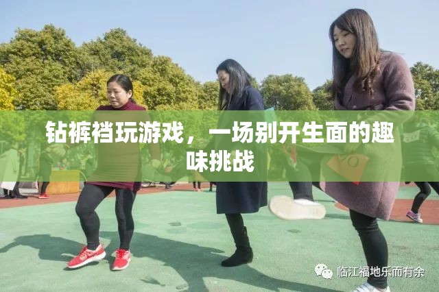 鉆褲襠玩游戲，一場別開生面的趣味挑戰(zhàn)