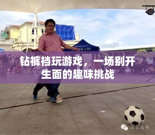 鉆褲襠玩游戲，一場別開生面的趣味挑戰(zhàn)