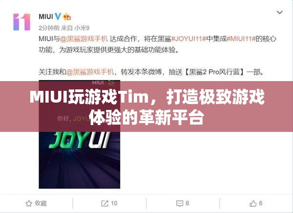 MIUI推出全新游戲平臺Tim，打造極致游戲體驗