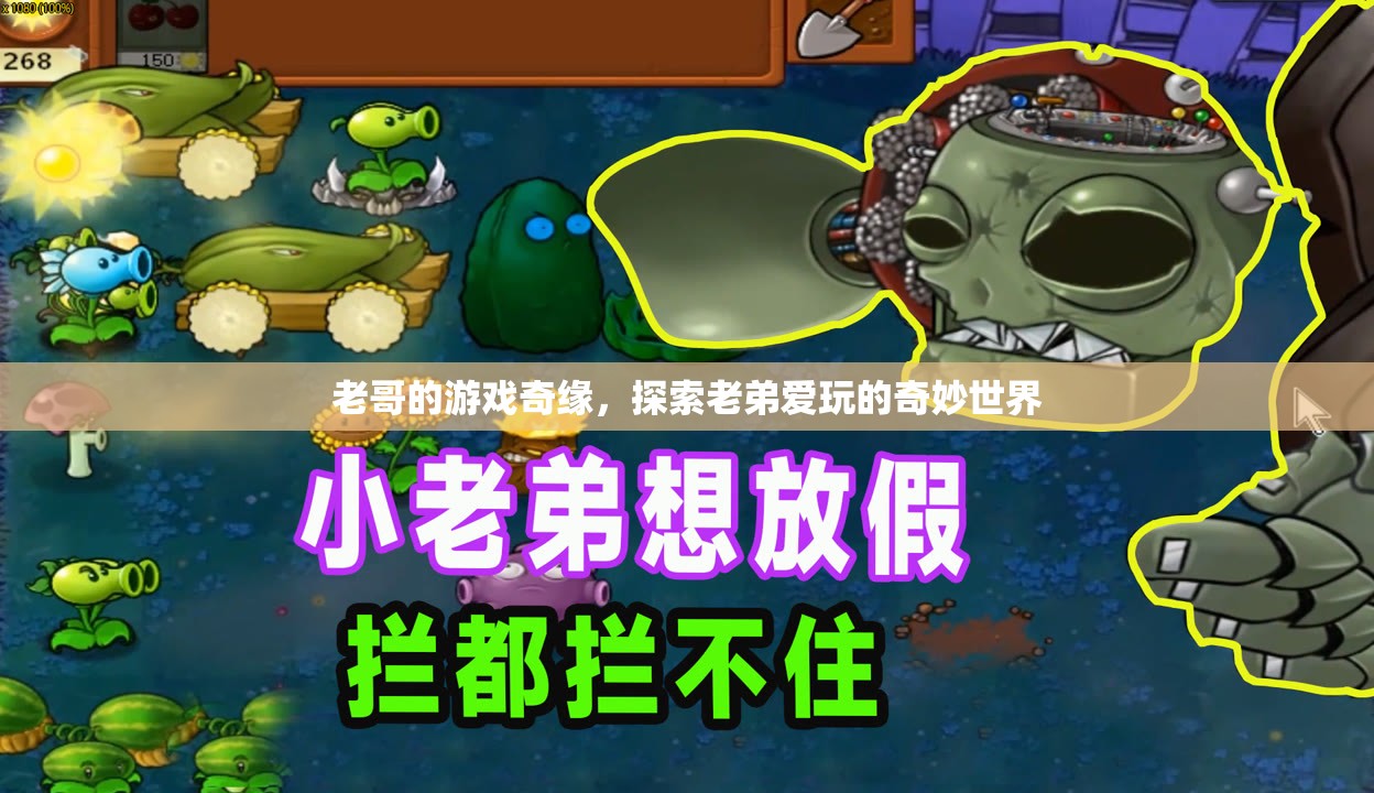 老哥的游戲奇緣，探索老弟的奇妙世界
