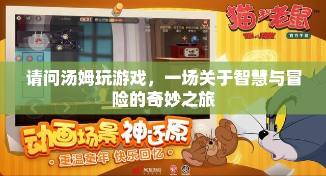 湯姆的智慧冒險之旅，一場奇妙的游戲之旅