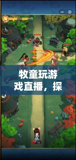 牧童游戲直播，鄉(xiāng)村樂趣與游戲世界的奇妙碰撞